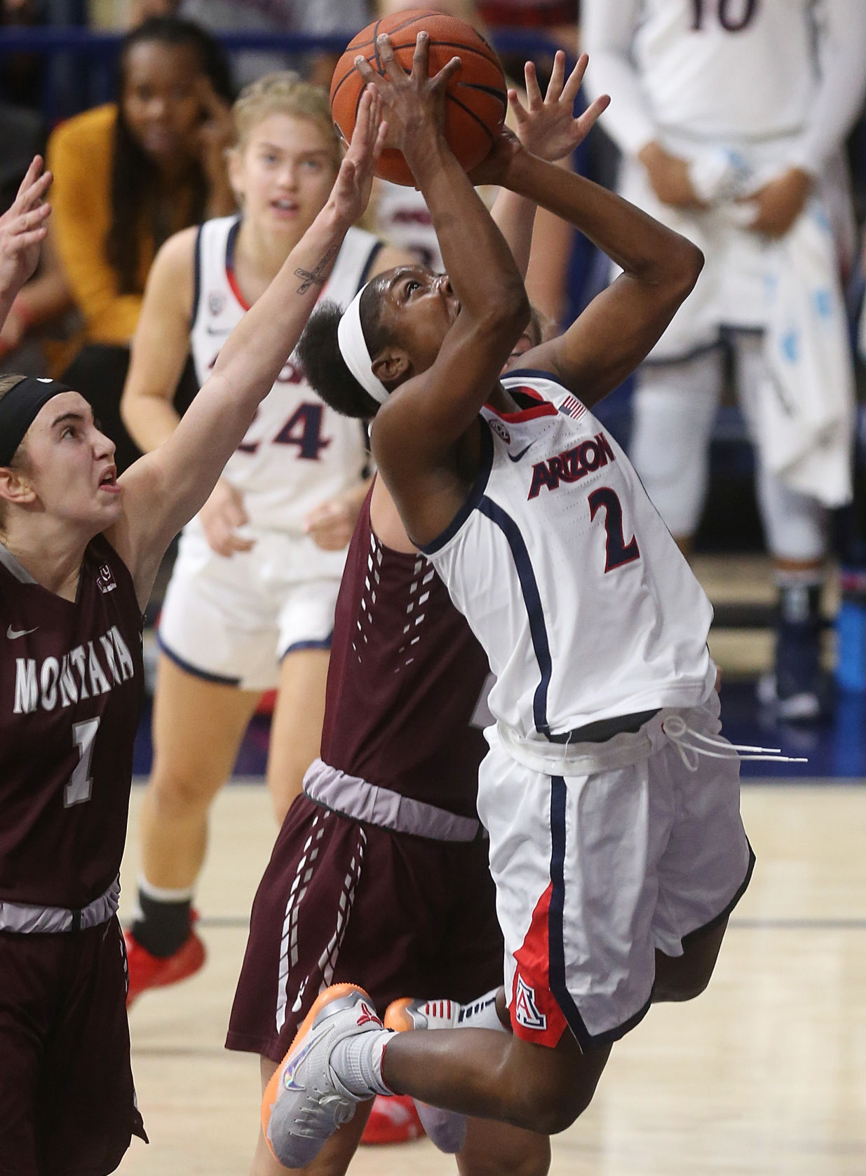 Arizona Wildcats 100, Montana Grizzlies 51